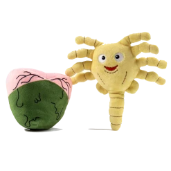 (ONLINE) DRAGON IMPORTS & COLLECTIBLES LLC Facehugger With Egg Phunny ALIEN COVENANT 8" PLUSH BY KIDROBOT