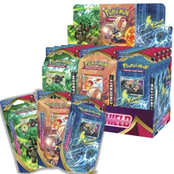 (ONLINE) DRAGON IMPORTS & COLLECTIBLES LLC Sword & Shield Pokémon TCG: Theme Deck Games/TCG